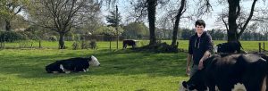 Farmer Crispin Sampson standing in Brooklands Farm with cattle