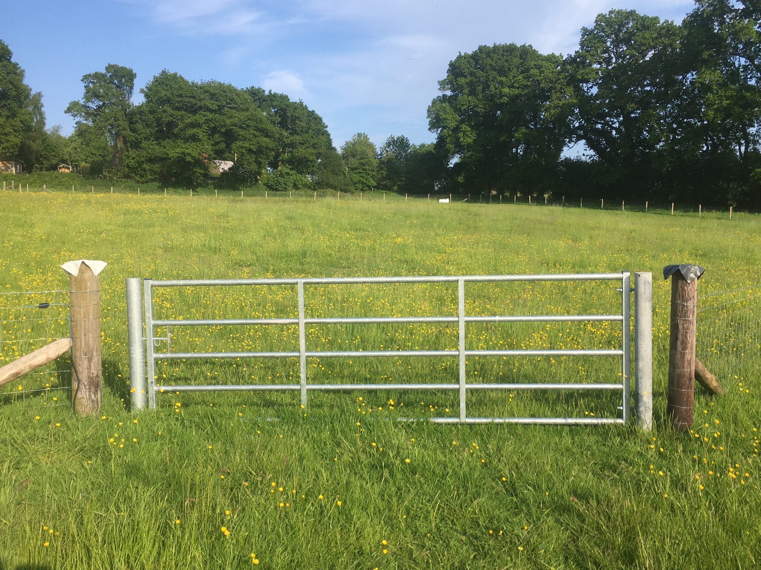 cattle yard gate