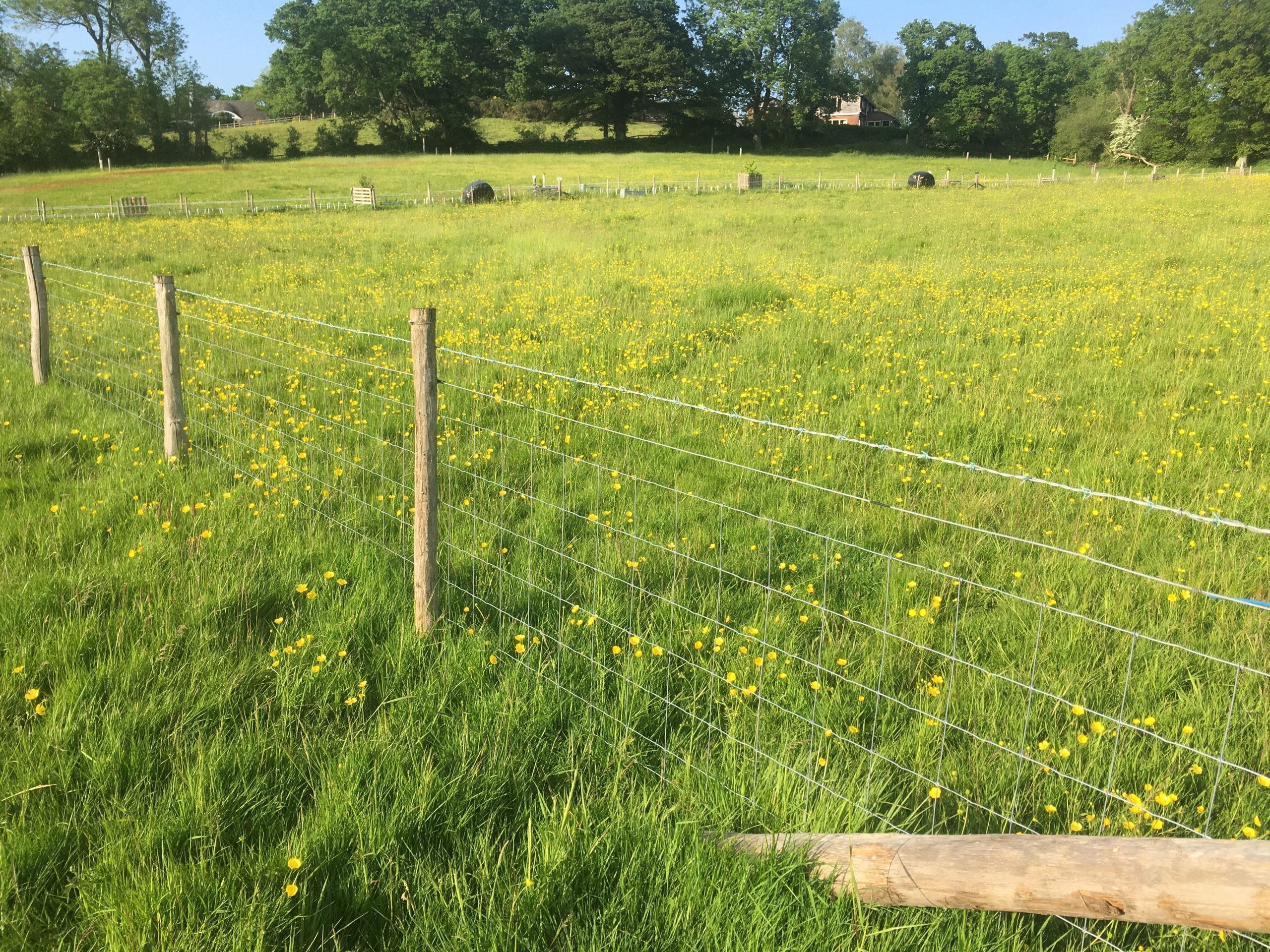 stock fencing