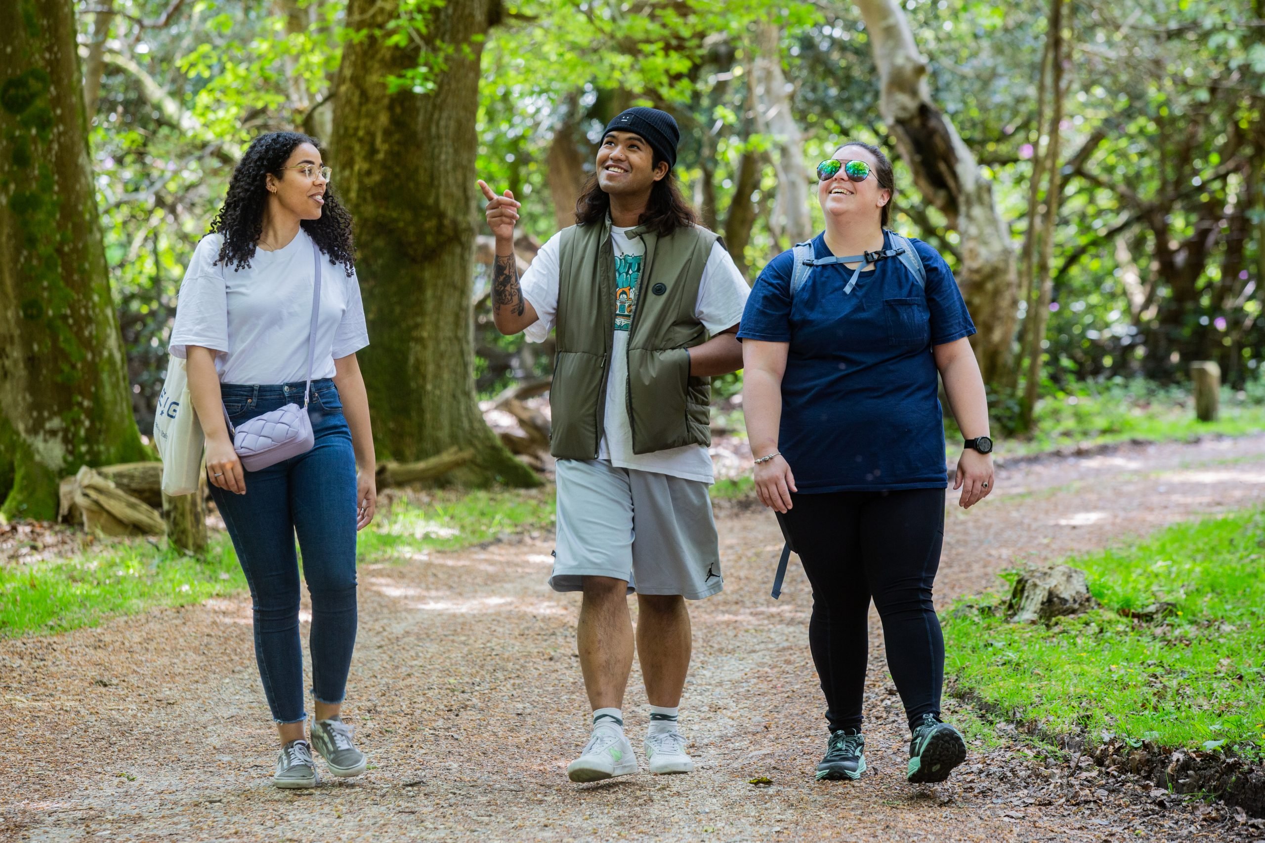 New Forest Walking and Cycling Festival open to all New Forest
