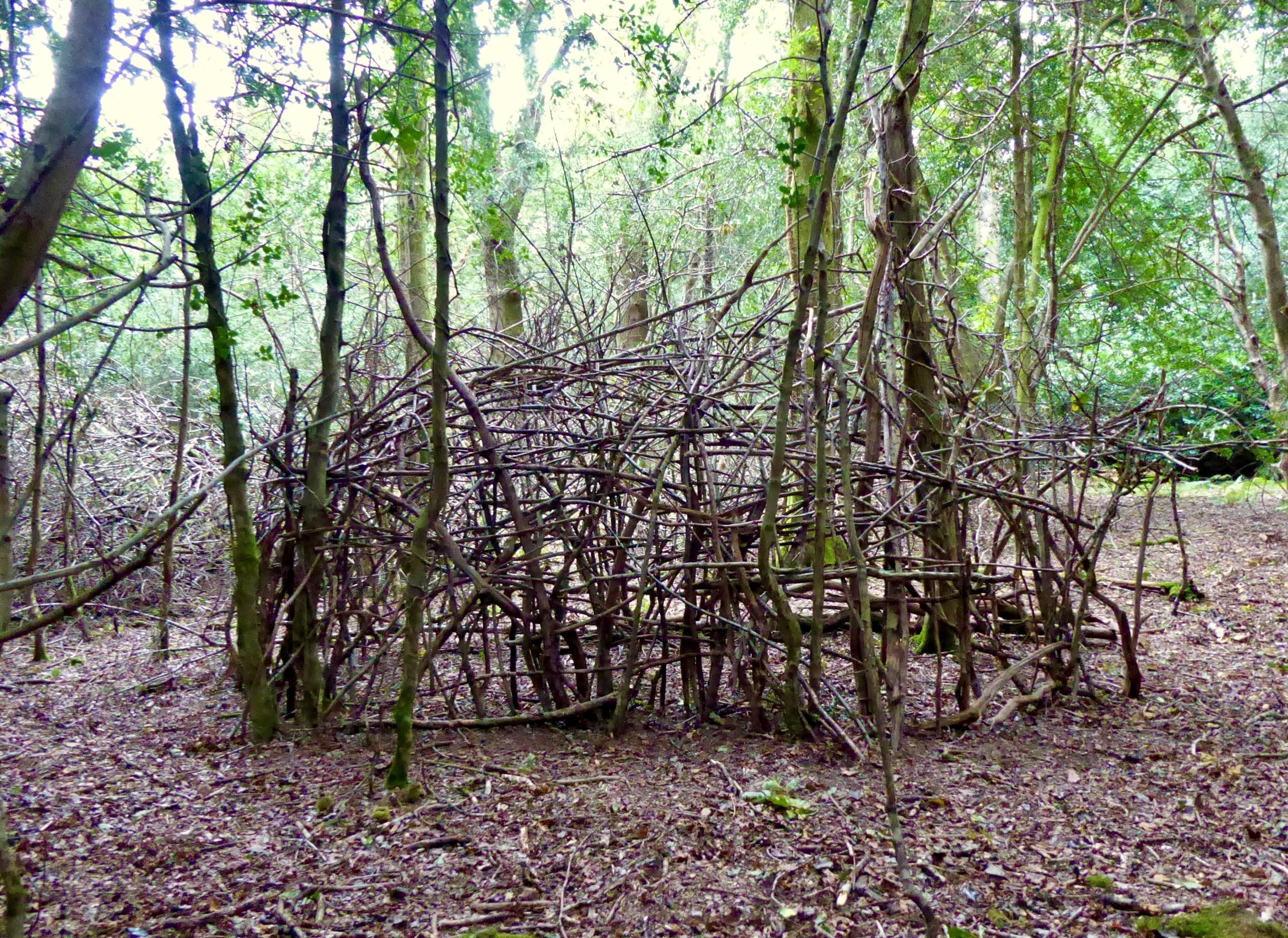 A wooden abstract style den in the New Forest