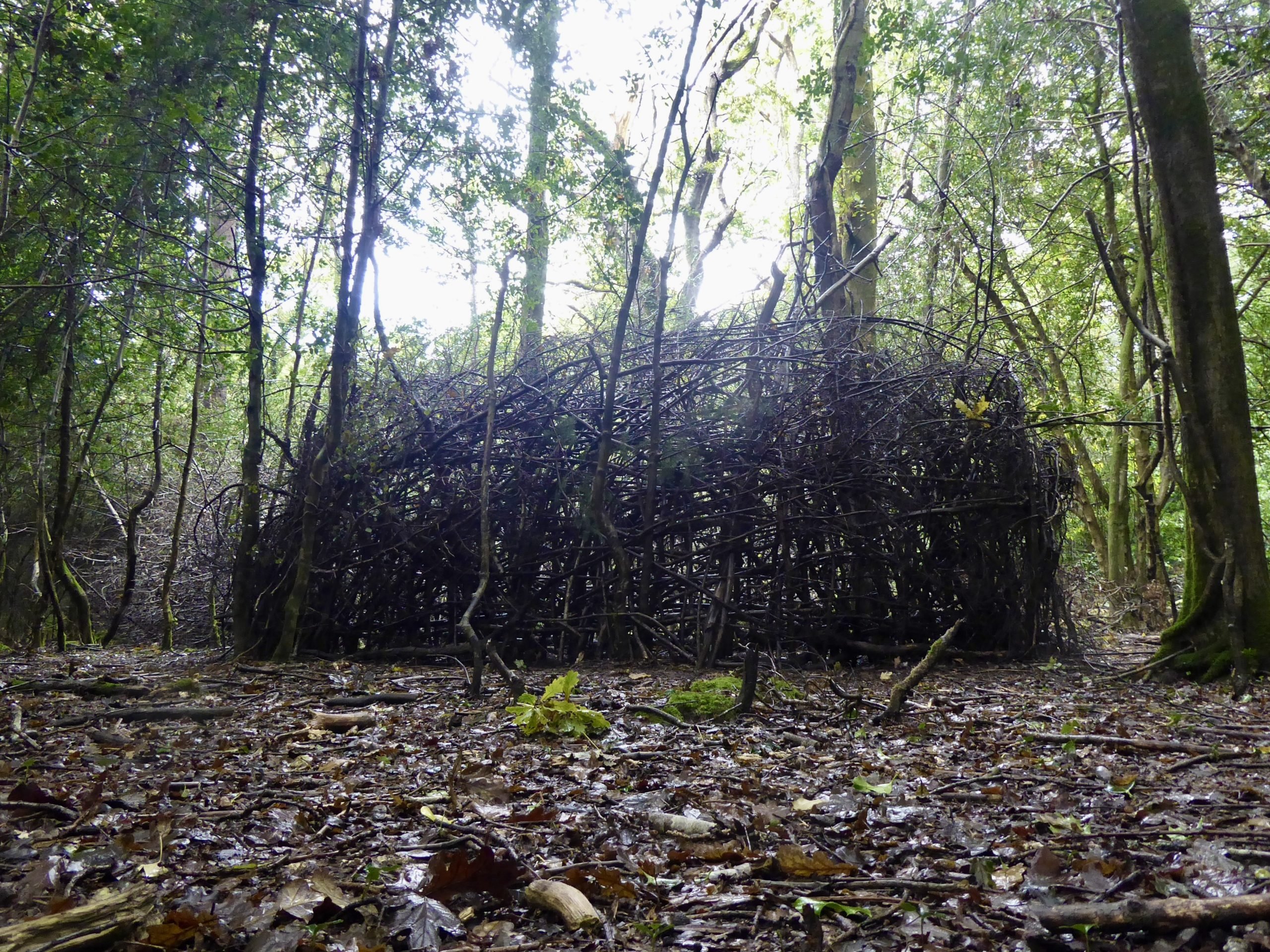A large abstract den structure constructed in a forest clearing. 