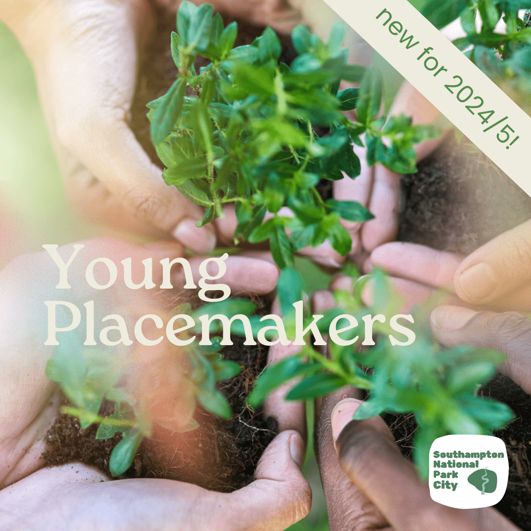 Young Placemakers poster