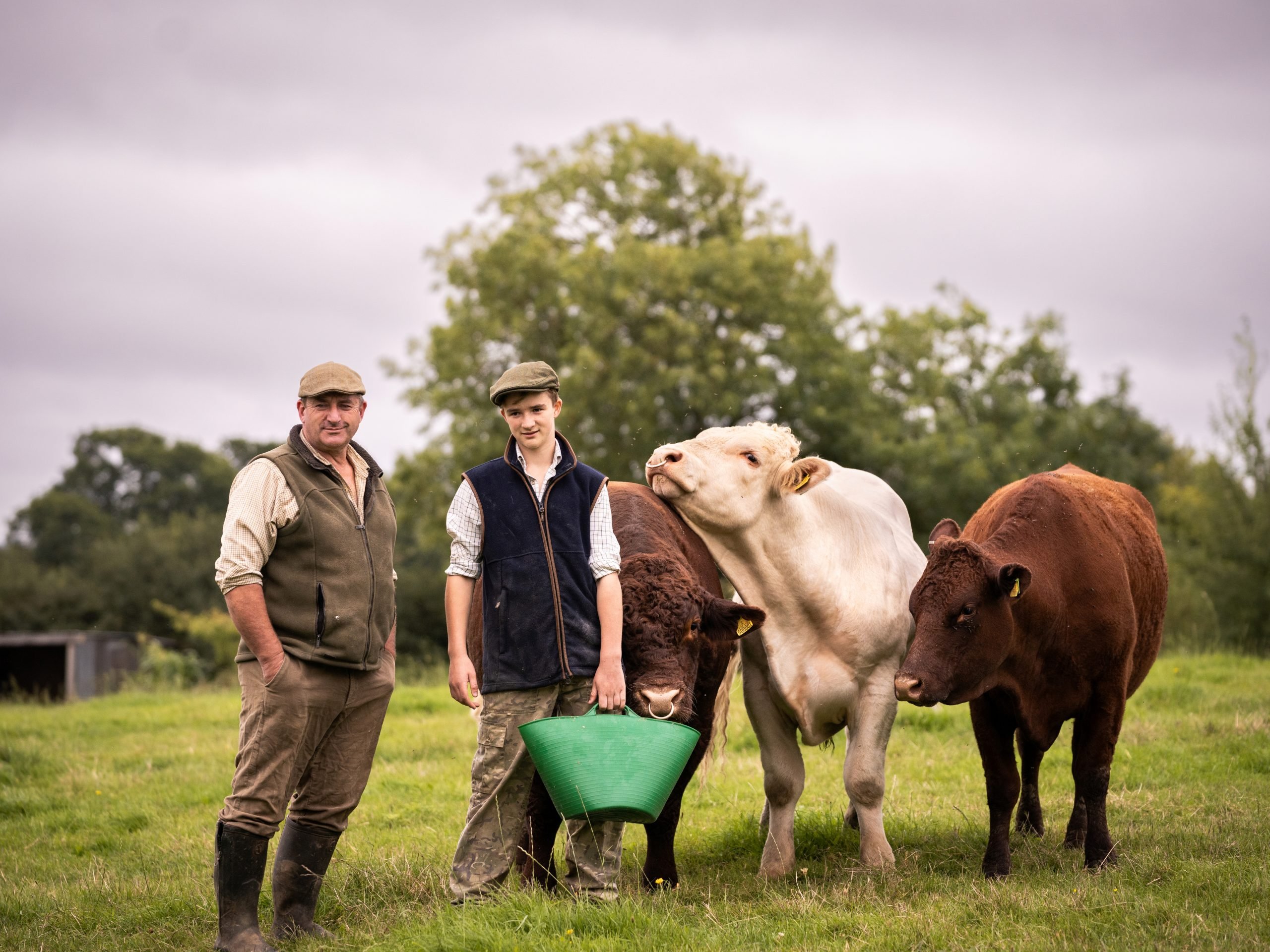 Young commoner Will Parry-Norton feeding cows with his dad Andrew