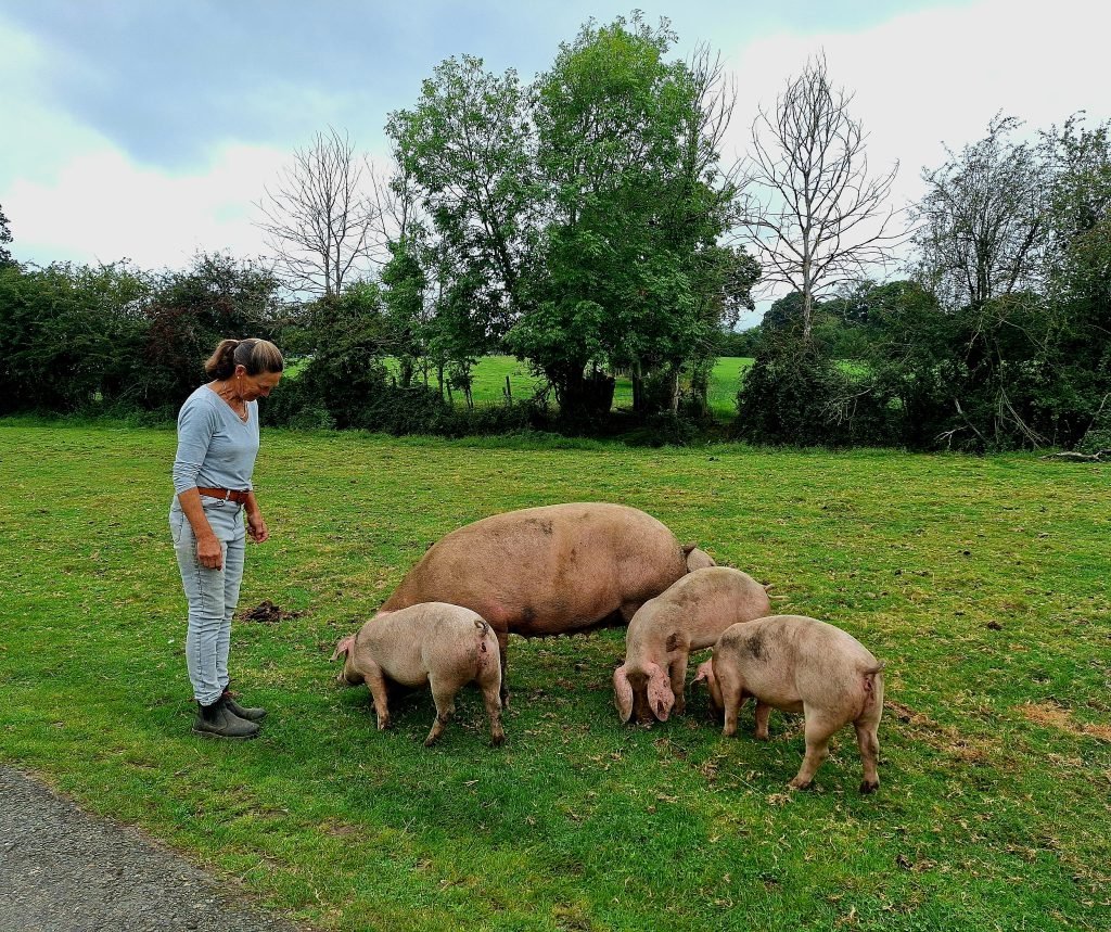 Commoner Wendy standing by her pigs