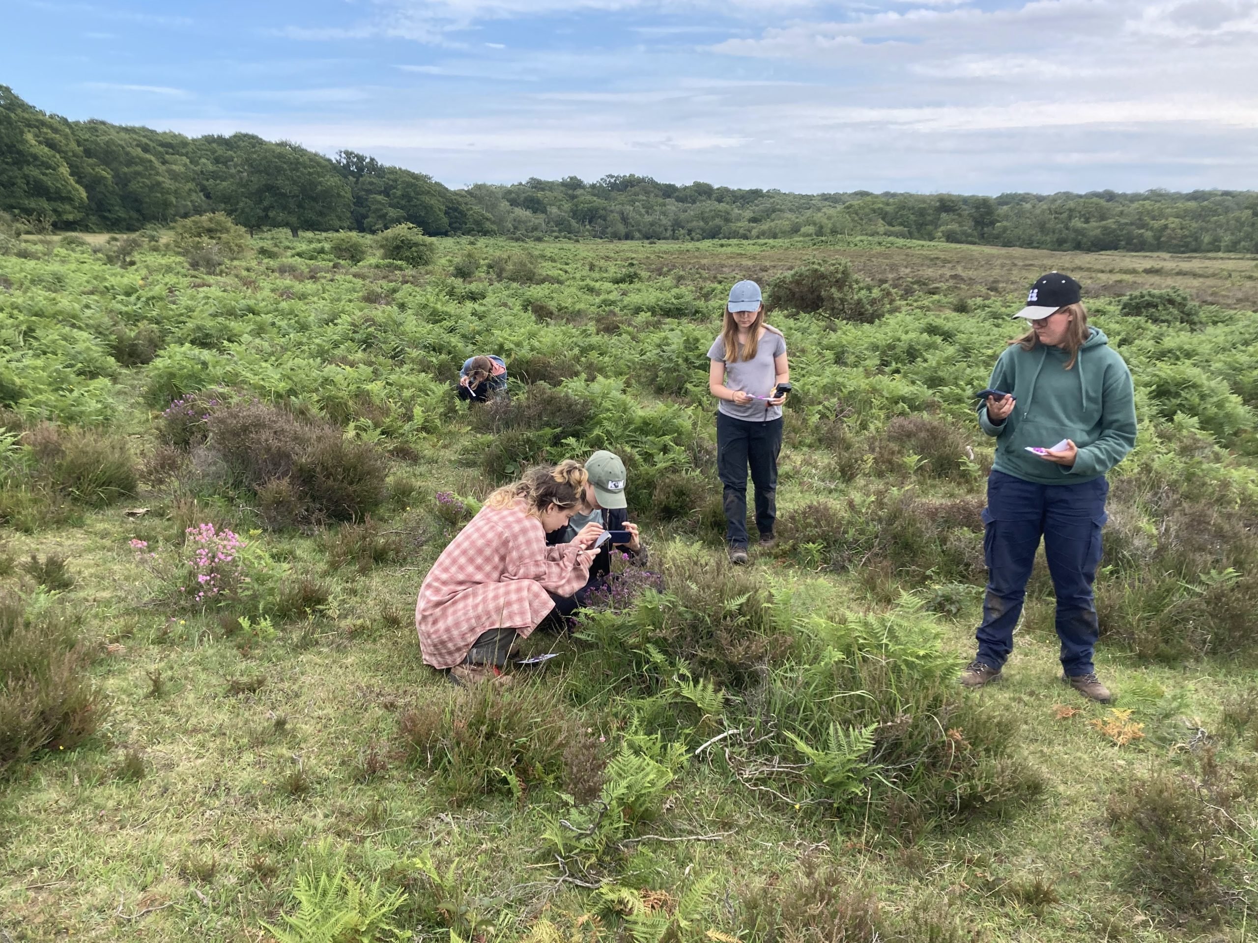Heather ID walk at Pig bush (credit CET) A group of young people identifying heather out in the New Forest