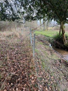Clipex fencing system Bramshaw Smallholding 2