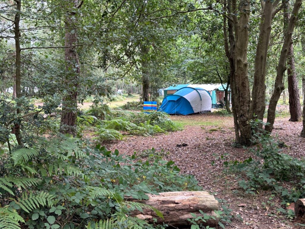 a blue tent and windbreak under trees