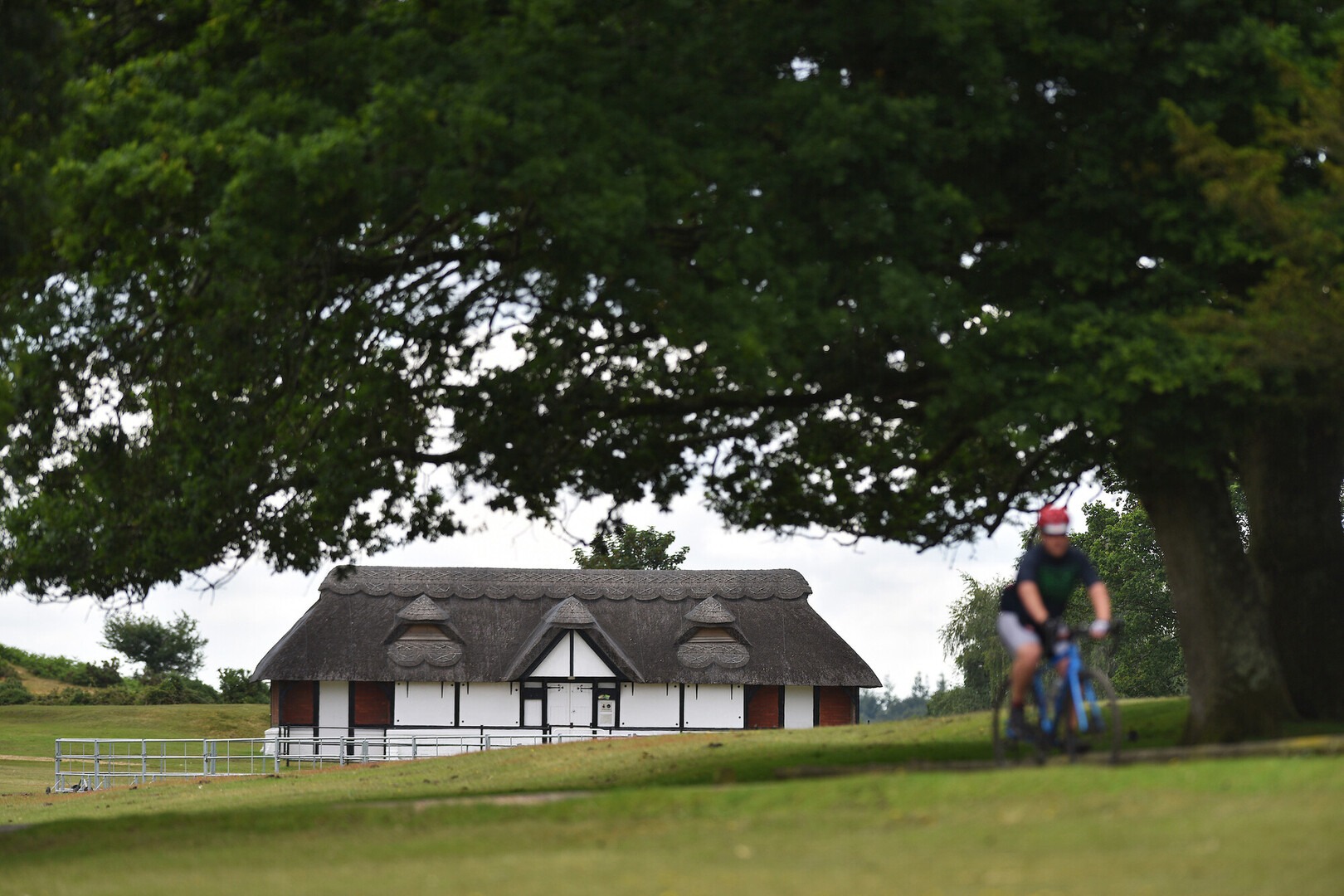 a thatched building with a fence around underneath tree branches with a cyclist cycling past
