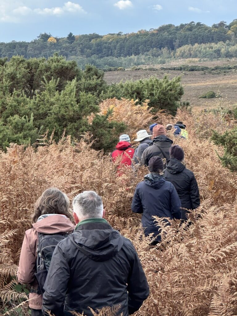 A group of people walking through bracken