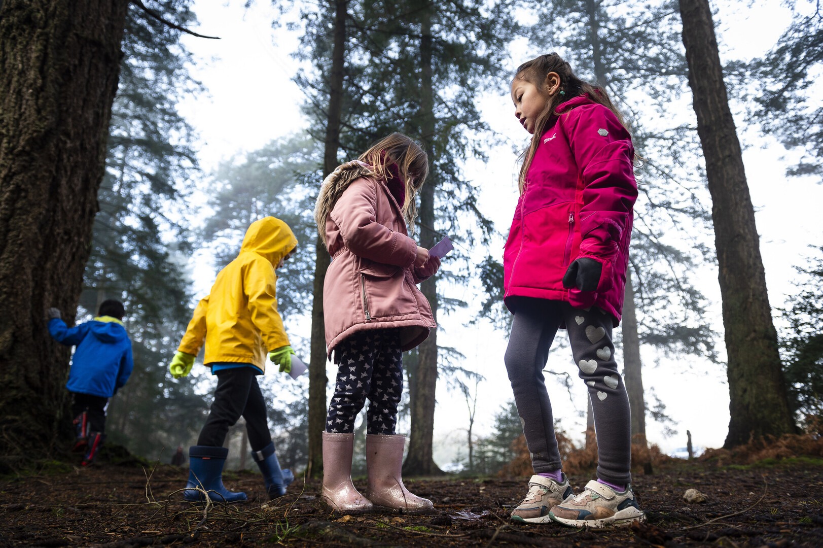a group of children exploring a forest