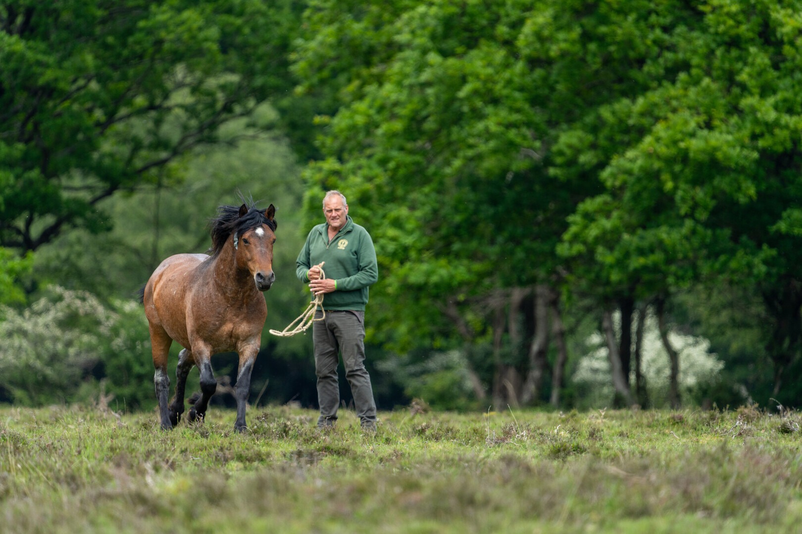 a man holding a rope with a horse in a forest