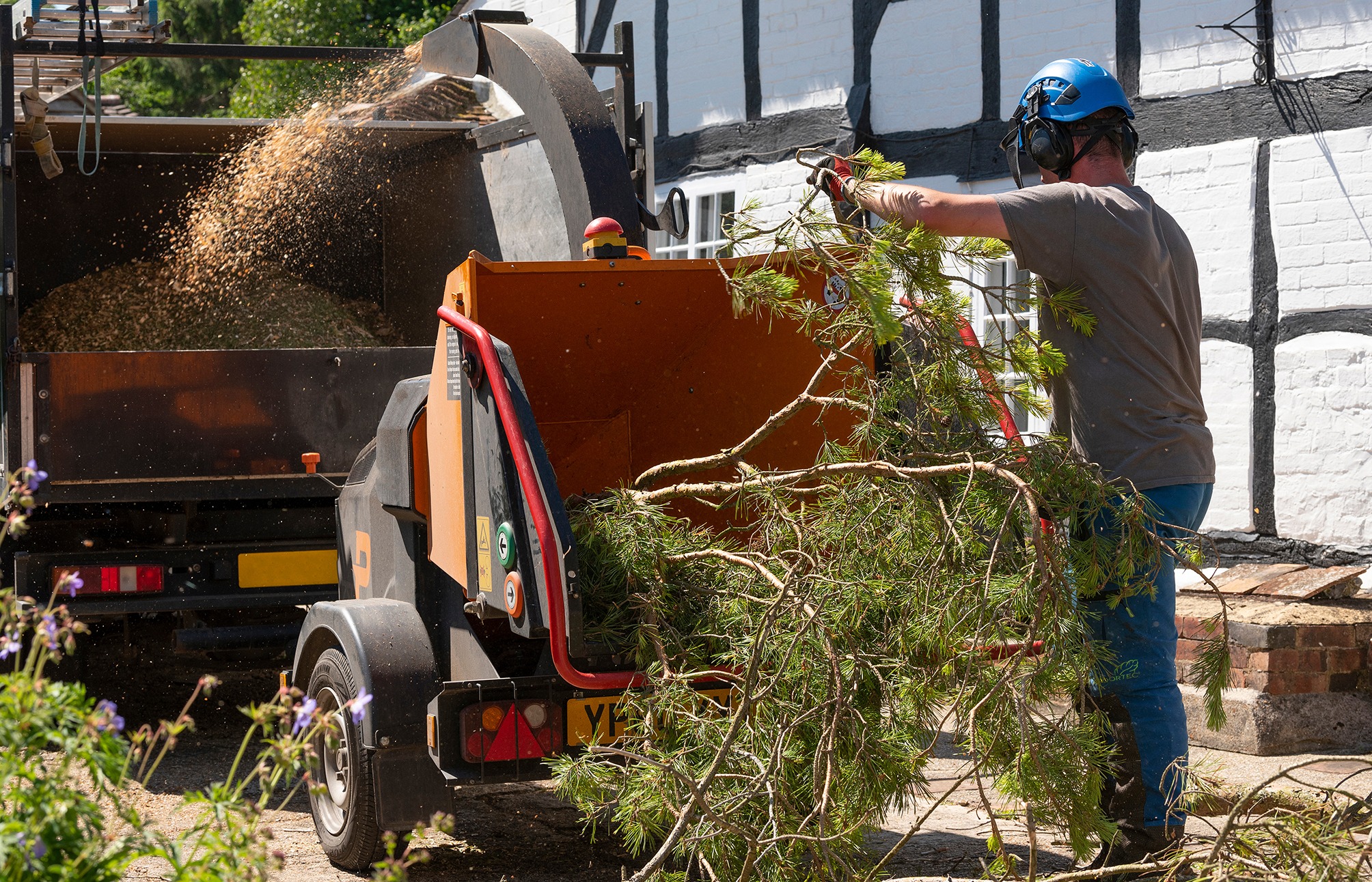 Man using a large shredding machine to shred leaves and branches from a felled Pine tree