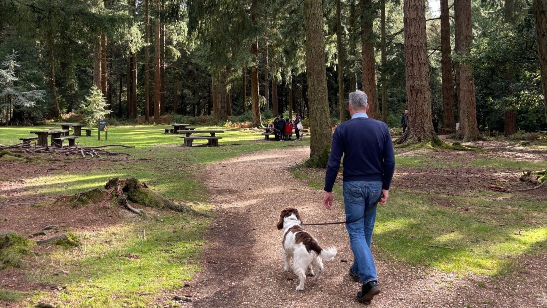 A man walking a dog on a track with pine trees and picnic benches