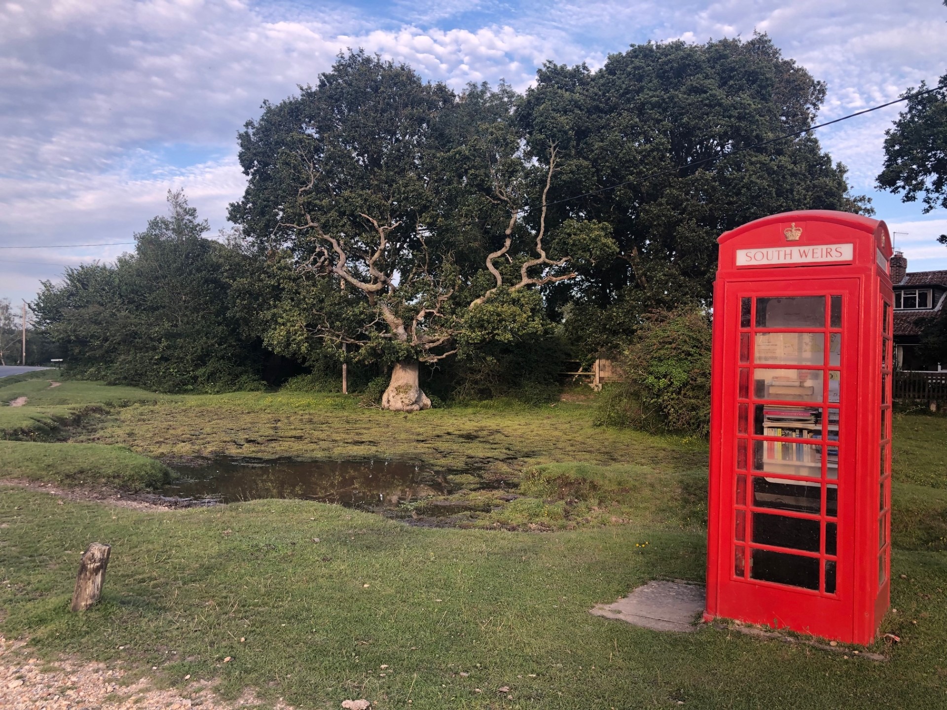 a red phone box by a pond