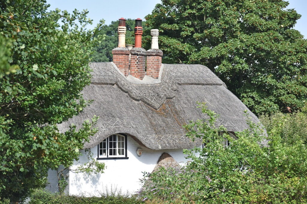 white thatched cottage surrounded by trees