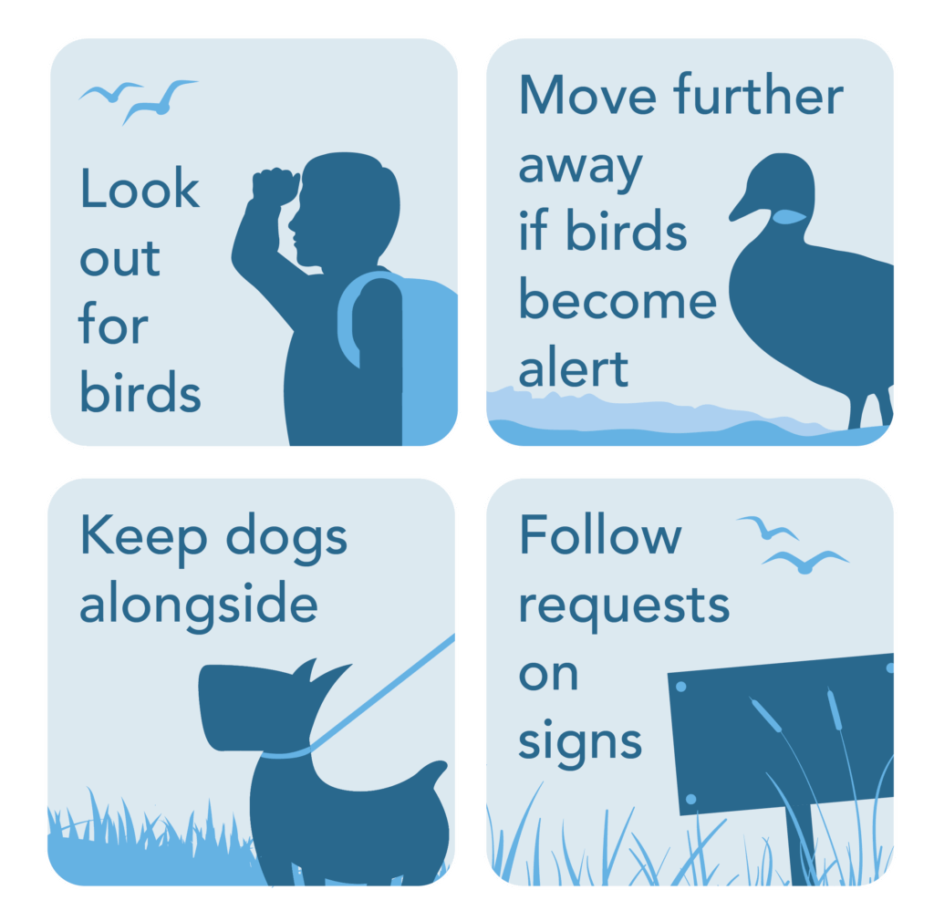 Bird Aware Solent coastal code graphic