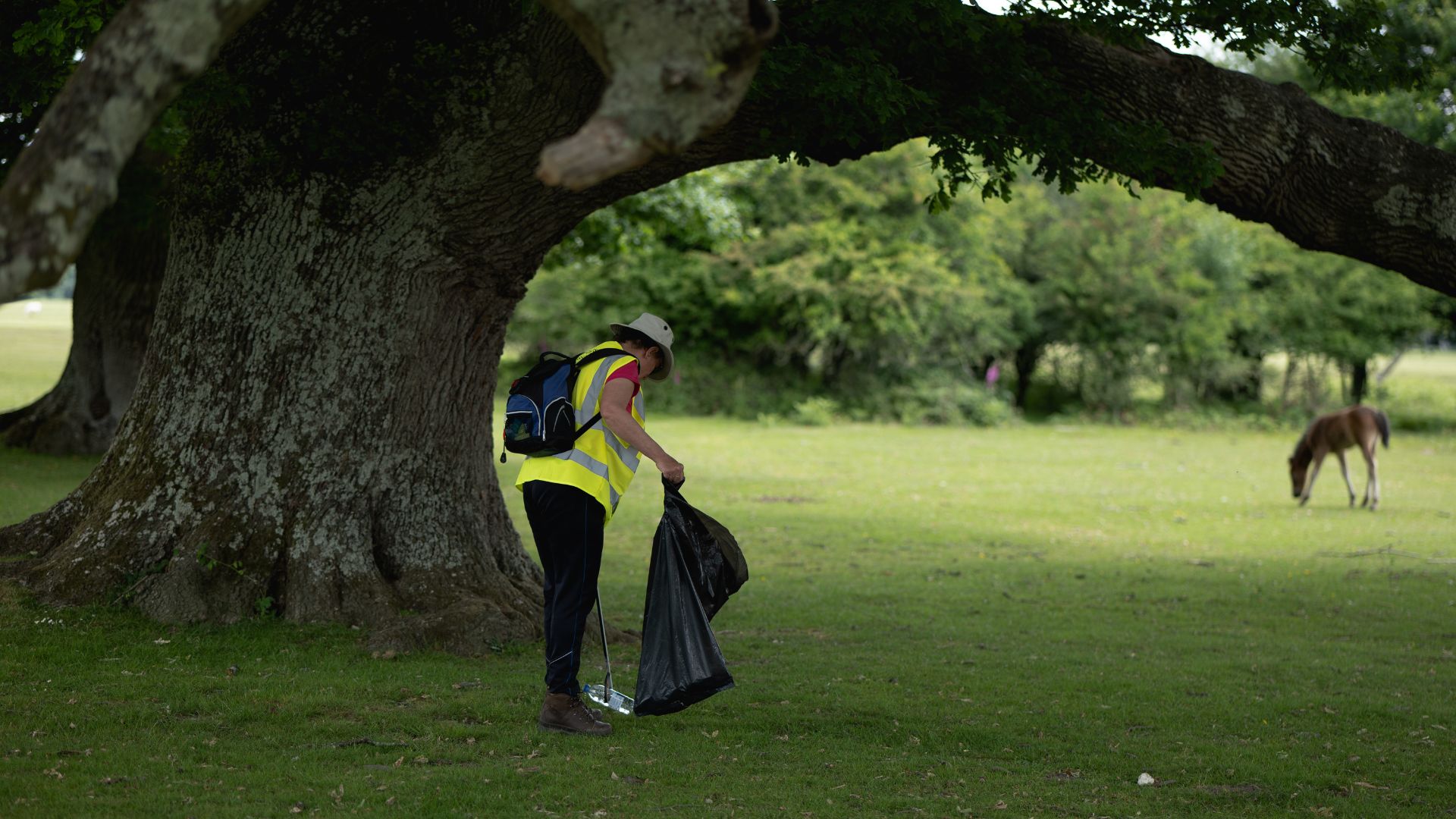 litter picker in the New Forest with foal in the background