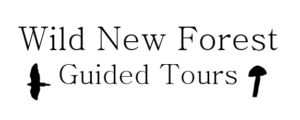 Wild New Forest Guided Tours logo