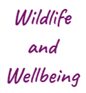 Wildlife and wellbeing logo