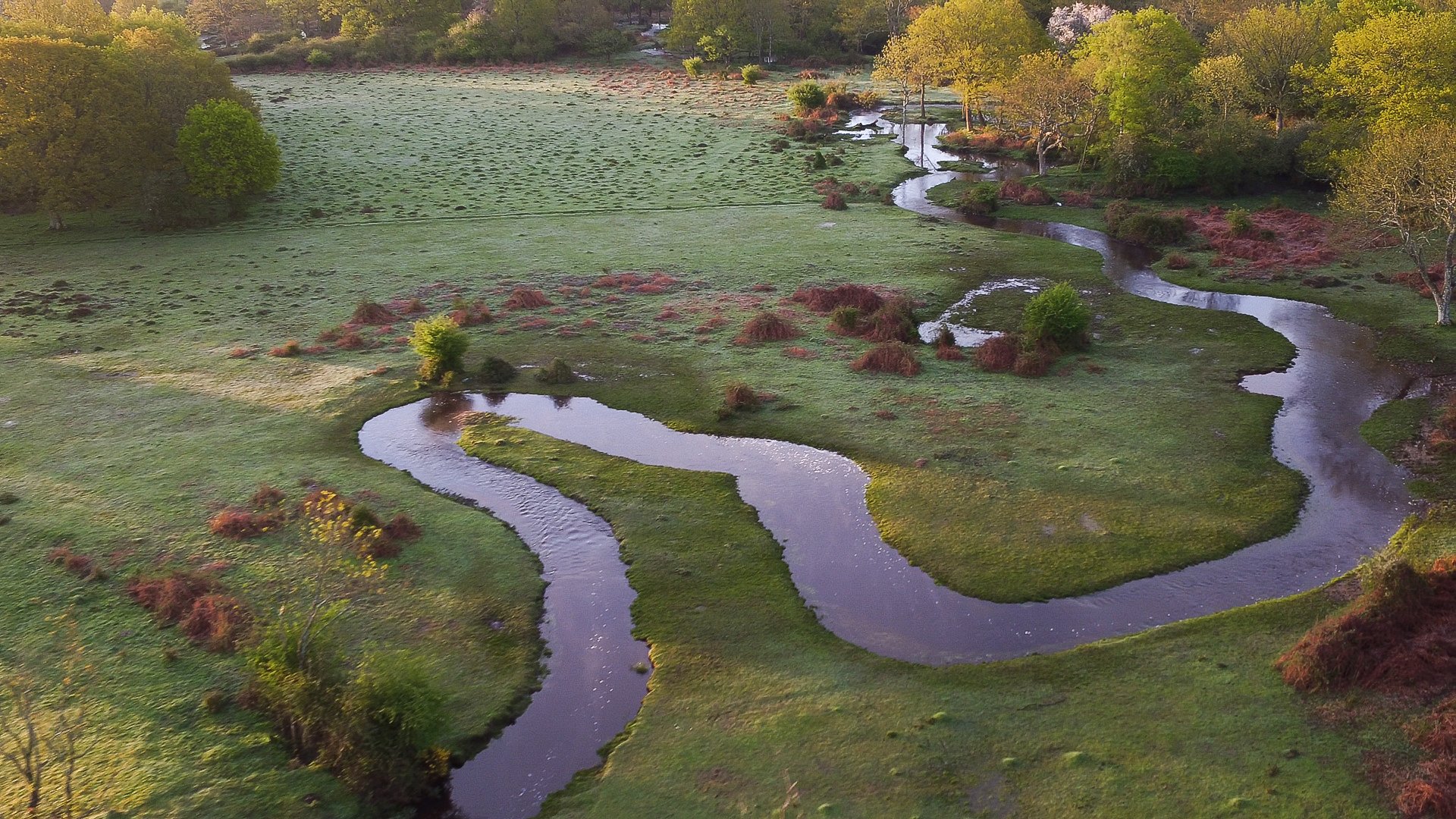 Fletchers Water after restoration