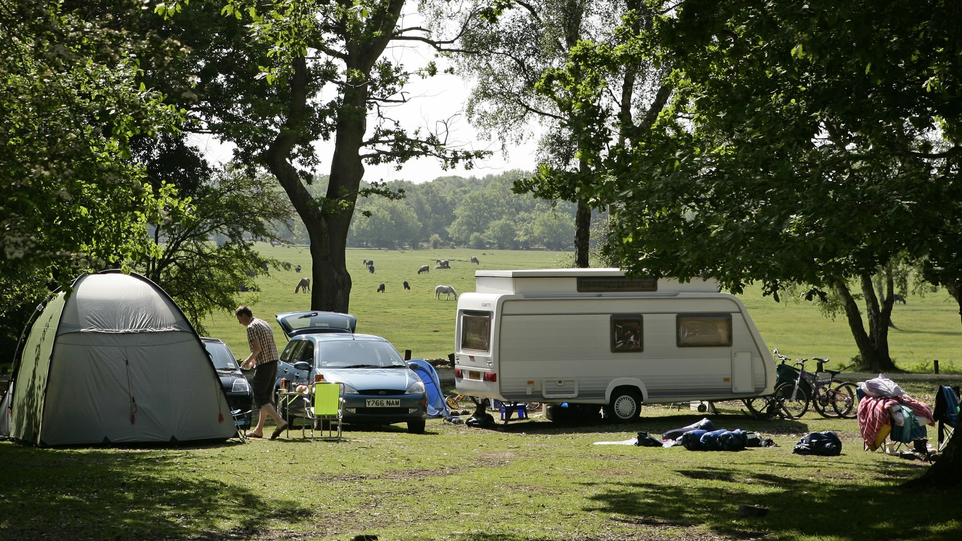 a tent and a motorhome parked under trees