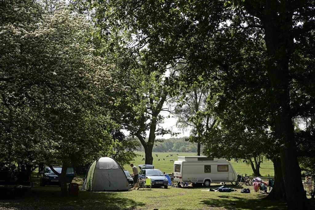Tents and caravans under the trees
