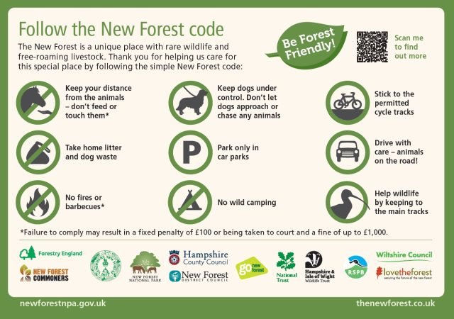 a poster of how to care for the Forest