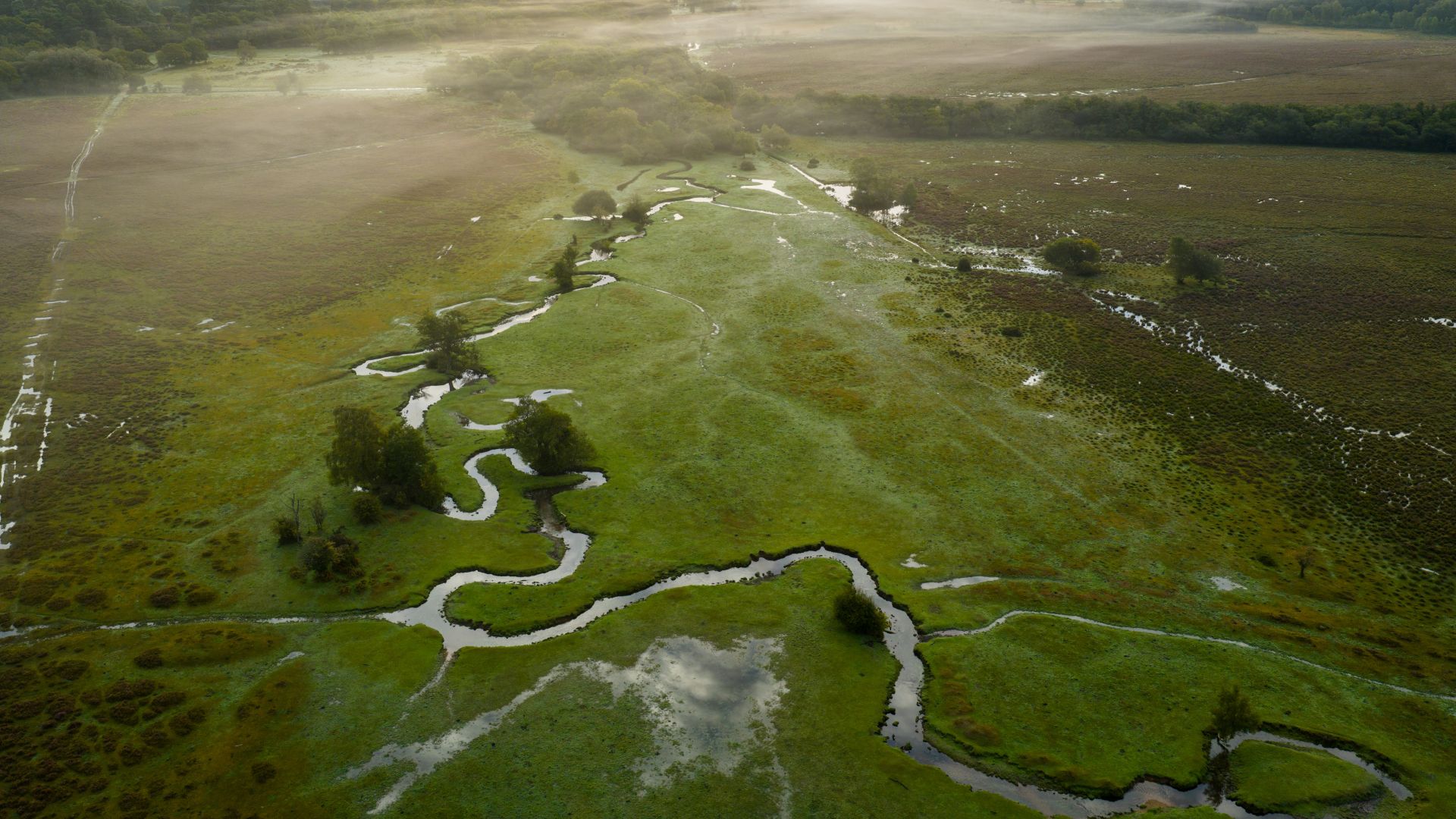 A meandering stream running through a vast green landscape