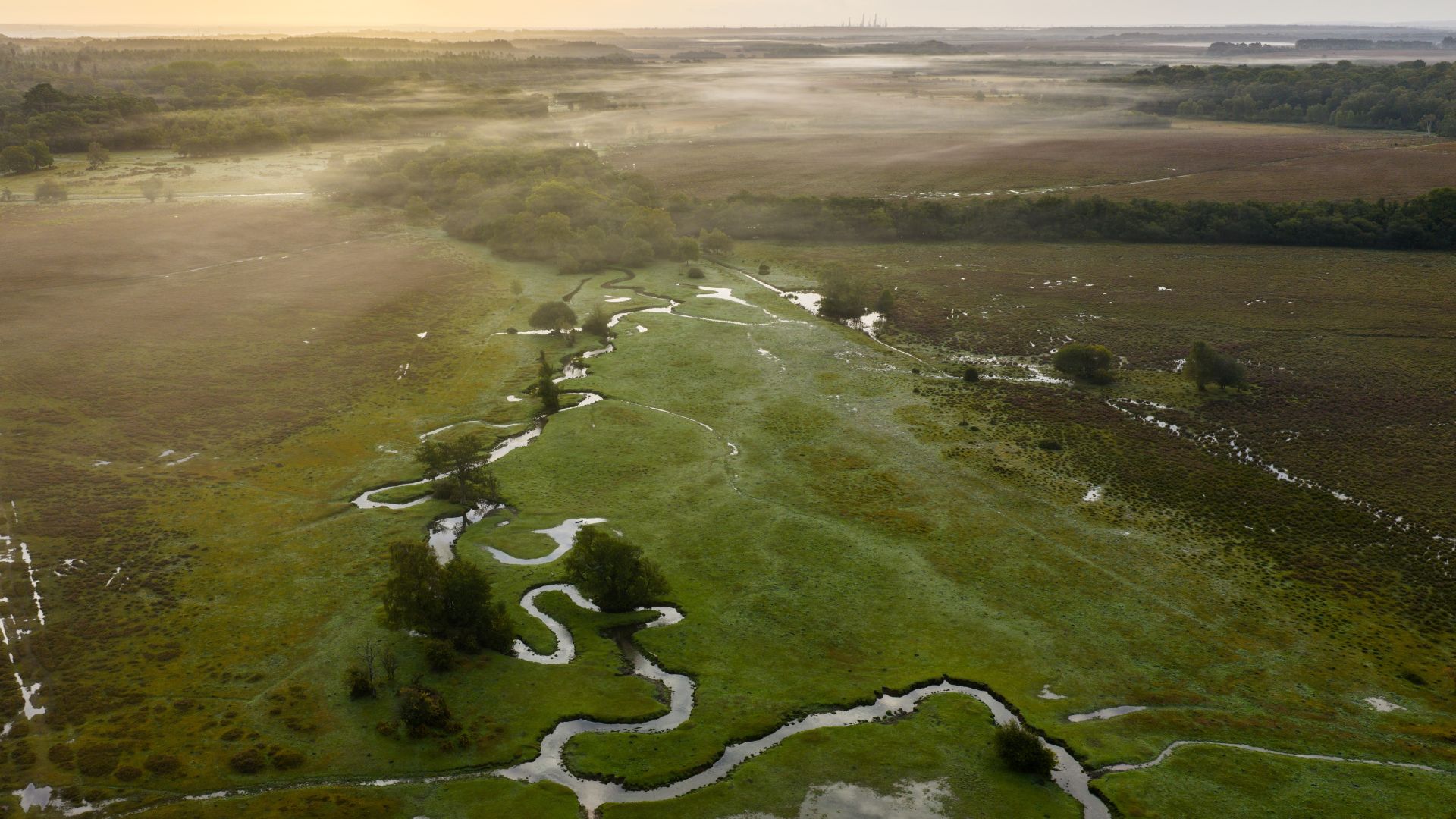 a meandering stream seen from the air