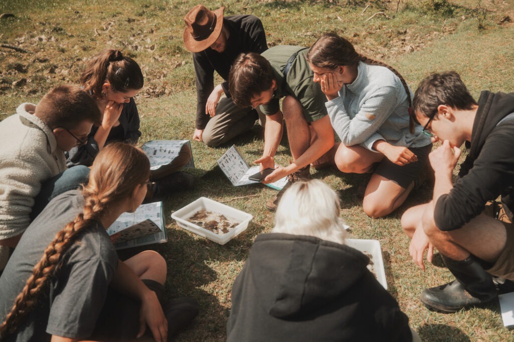 A group of young adults looking at a tray of water and pond species with identification guides in hand