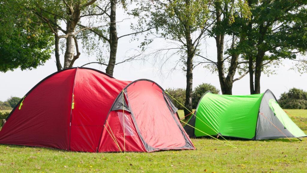 Colourful camping tents under the trees on a sunny day