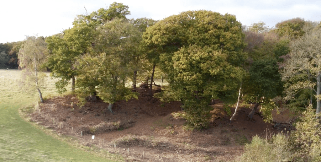 Screenshot 2026-01-20 at 12.40.51