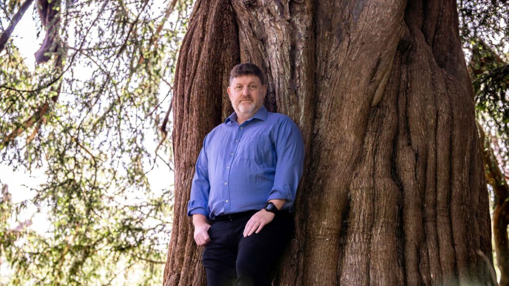 a person wearing a blue shirt leaning against a large tree