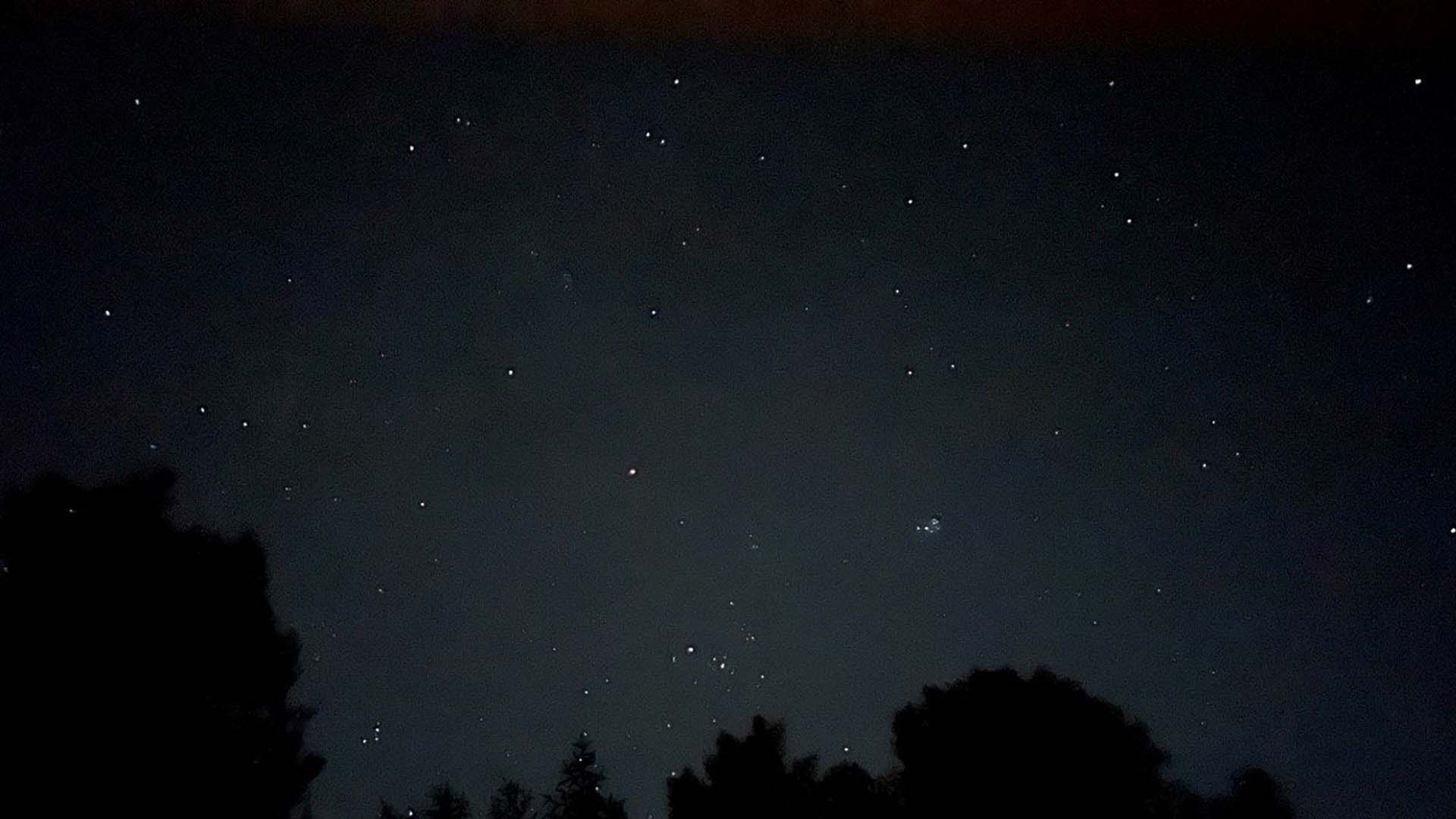 Night time scene with silhouette of trees in front of stars in dark sky.