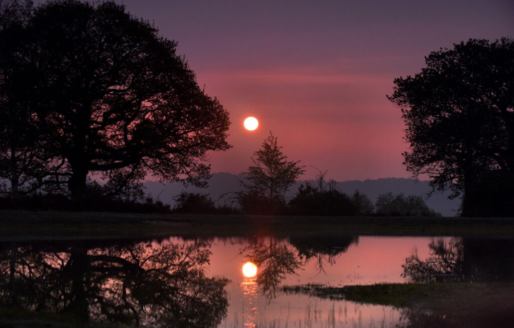 Sunrise over Mogshade Pond, pink sky framed by dark trees with the sun and treeline reflected in still water