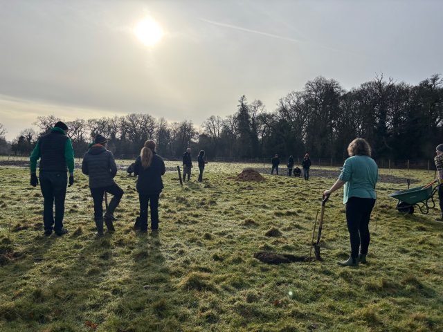 people planting trees in the winter sun