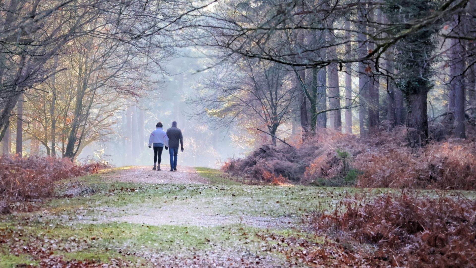 Two people walking through a wintery forest