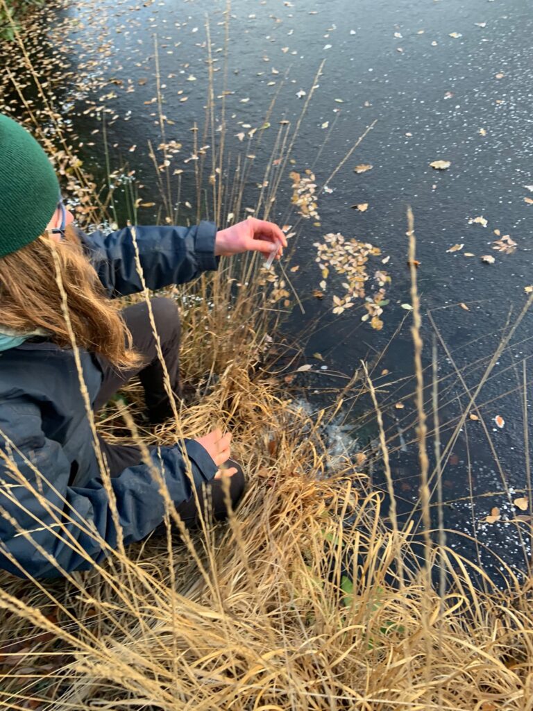 A person sitting on a river bank leaning over water and taking a water sample