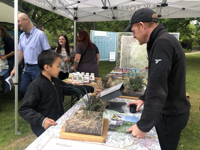 a person talking to a child about a wildlife display