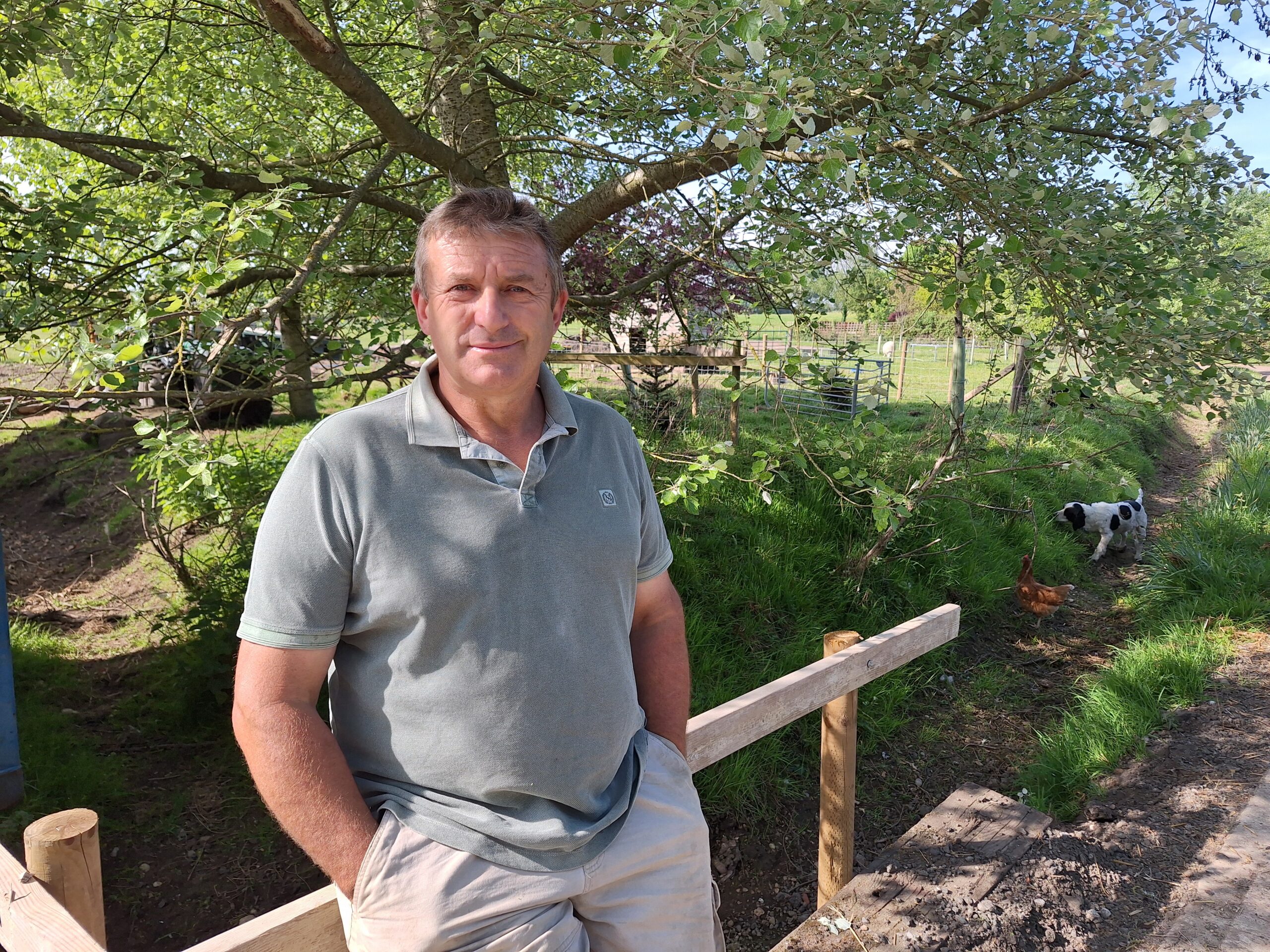 A man part covered in shade sitting on the edge of a wooden fence