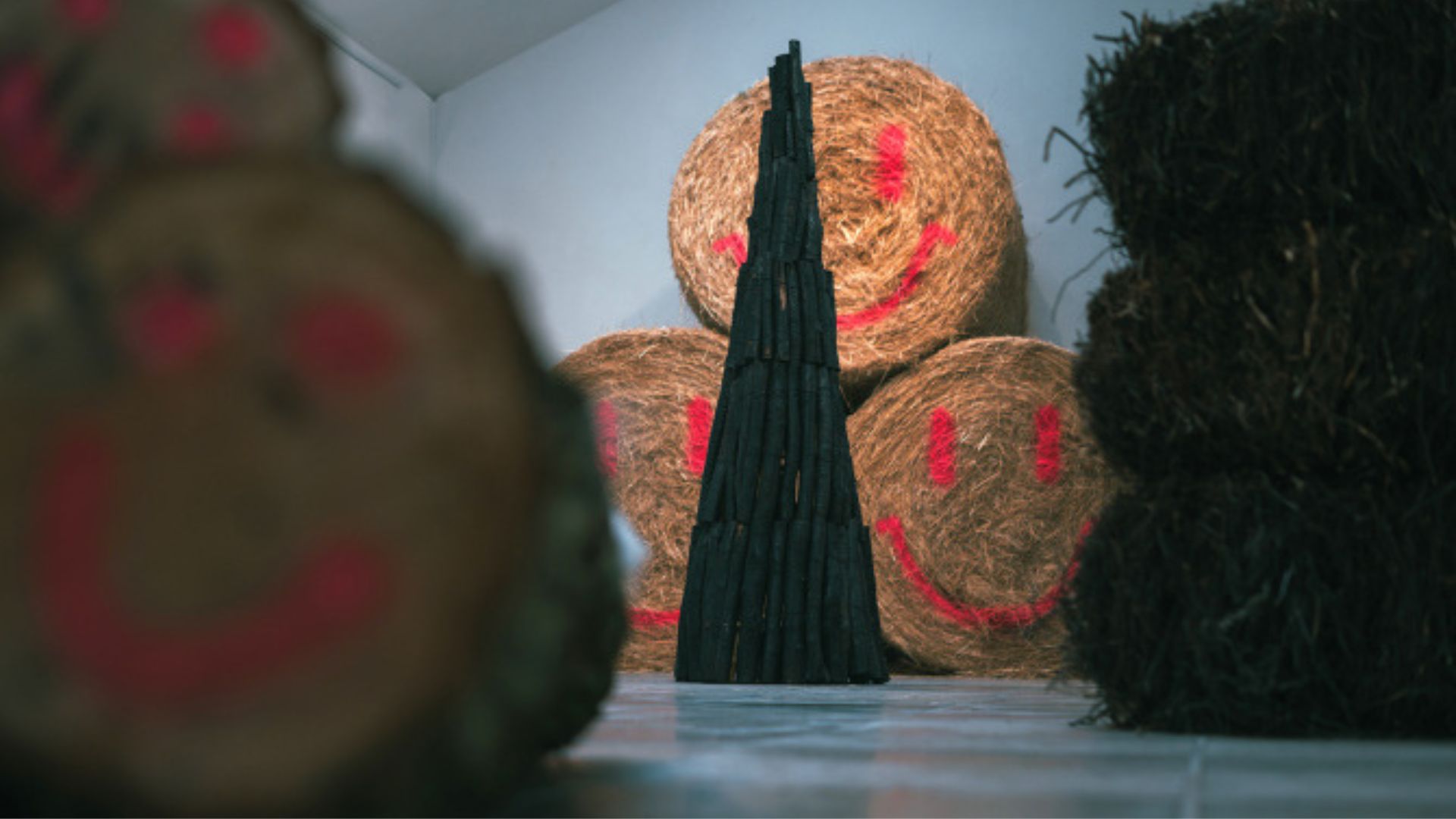 Art exhibition for Beccy McCray