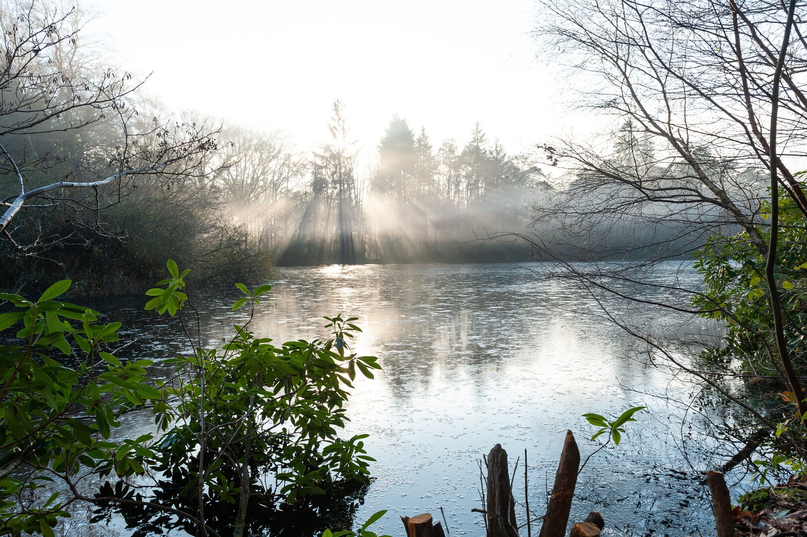 Misty lake at Franchises Lodge with morning sunbeams through trees and shrubs in the foreground