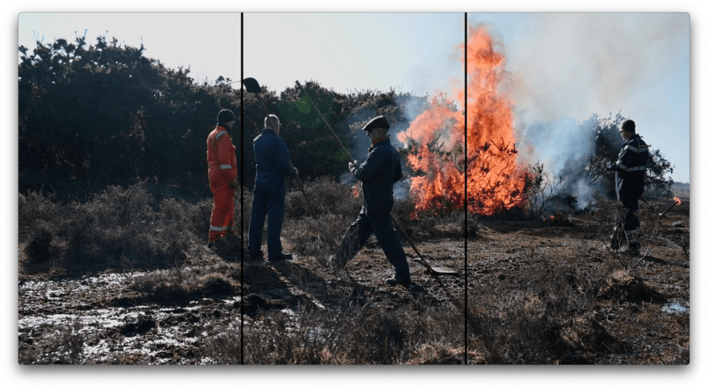 Four workers use tools during controlled burning of New Forest scrub, with flames and smoke rising from bushes