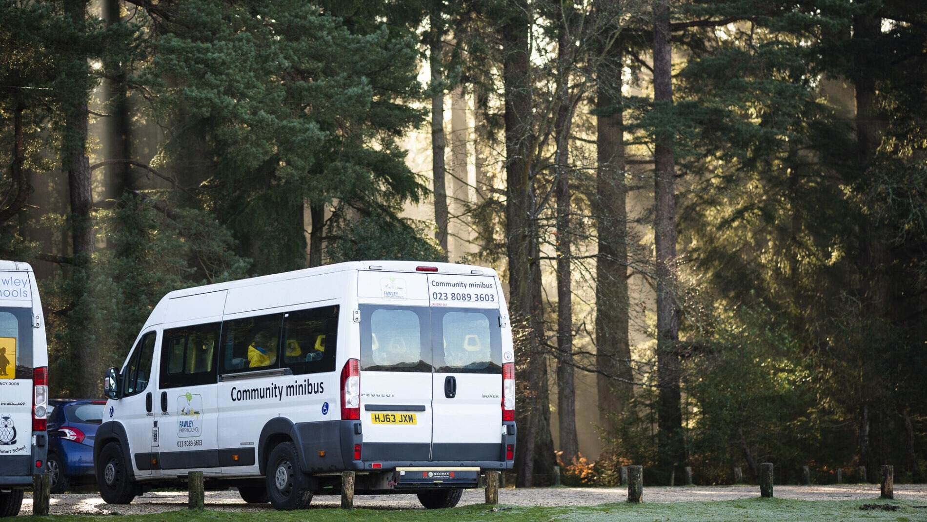 Two minivans and a car parked in a New Forest car park. There is a woodland in the background