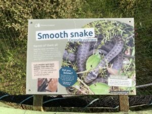 Smooth snake information sign