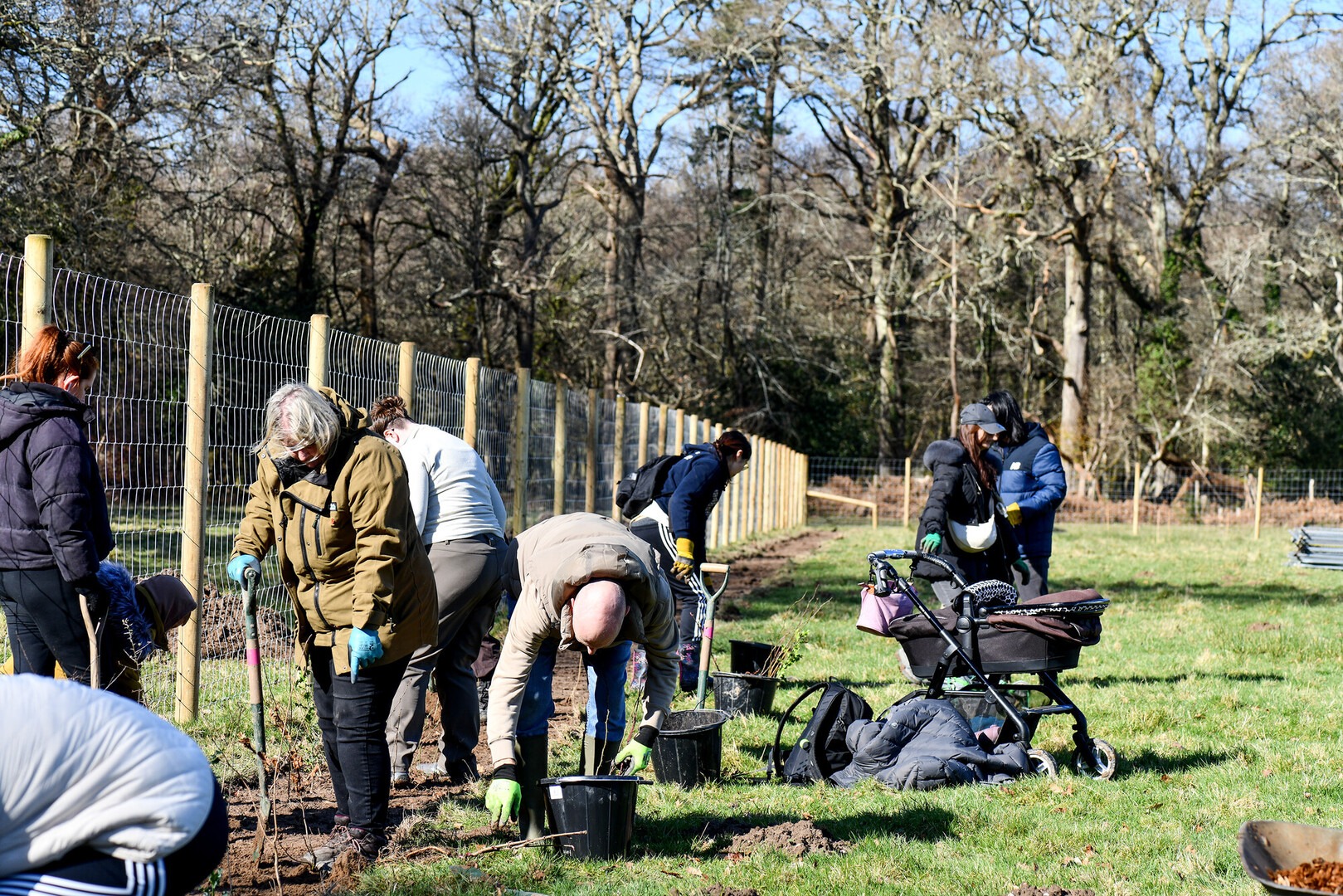 A range of people volunteer at a community hedge planting event.