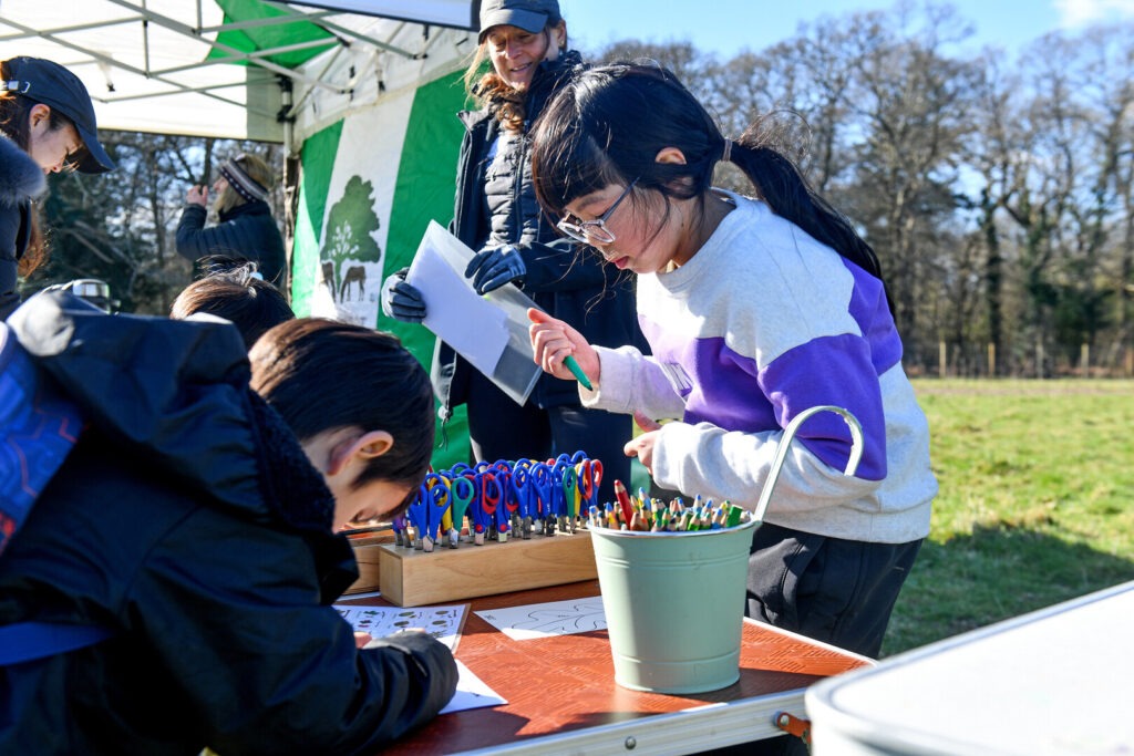Young people at a desk with crafts on in the New Forest.