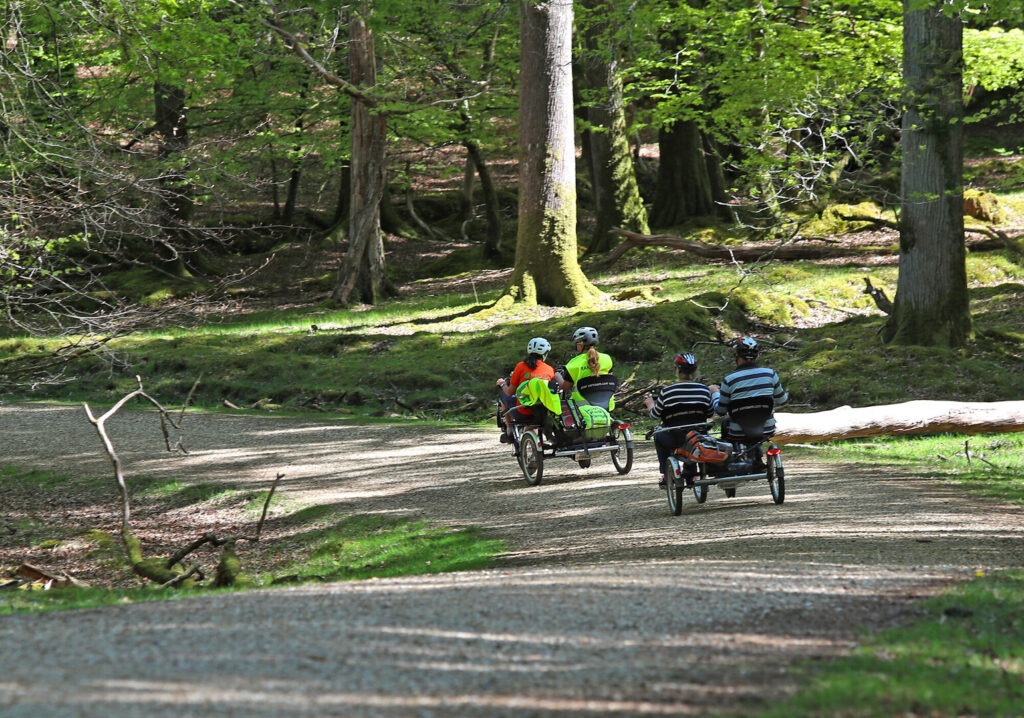Two specialised side-by-side tandems ride on a Forest track.