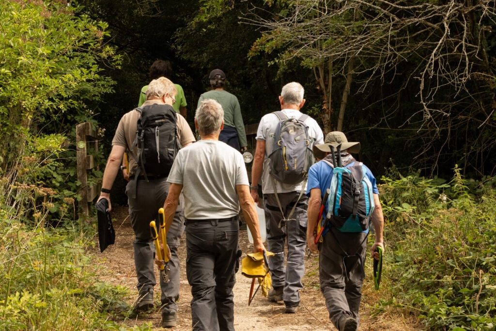 Volunteers walk down a path carrying tools